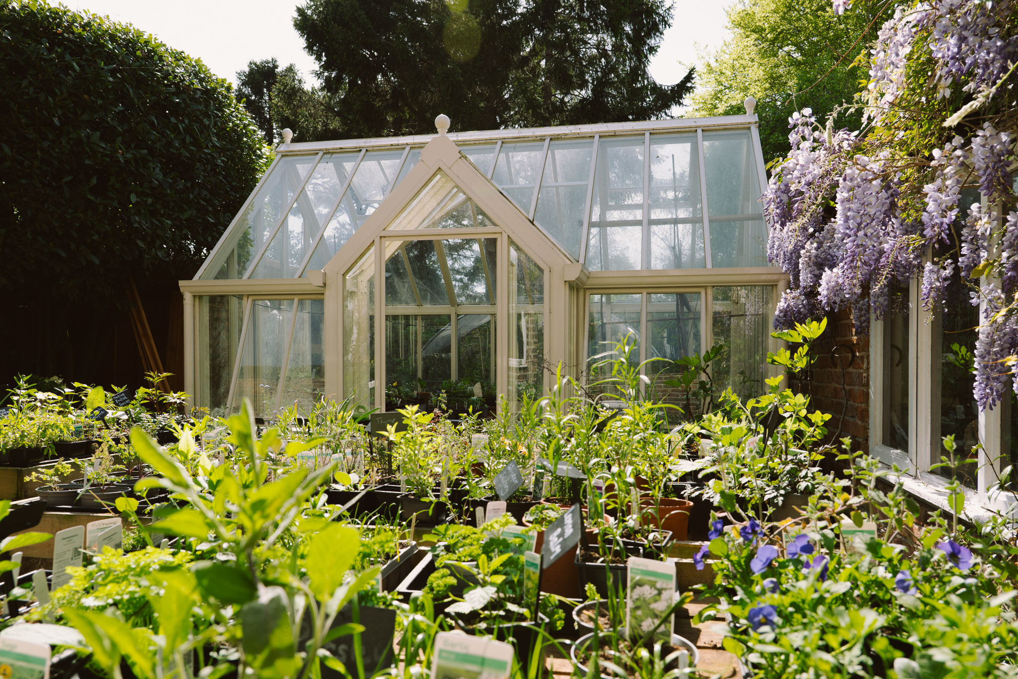 Blackbrook Herb Gardens