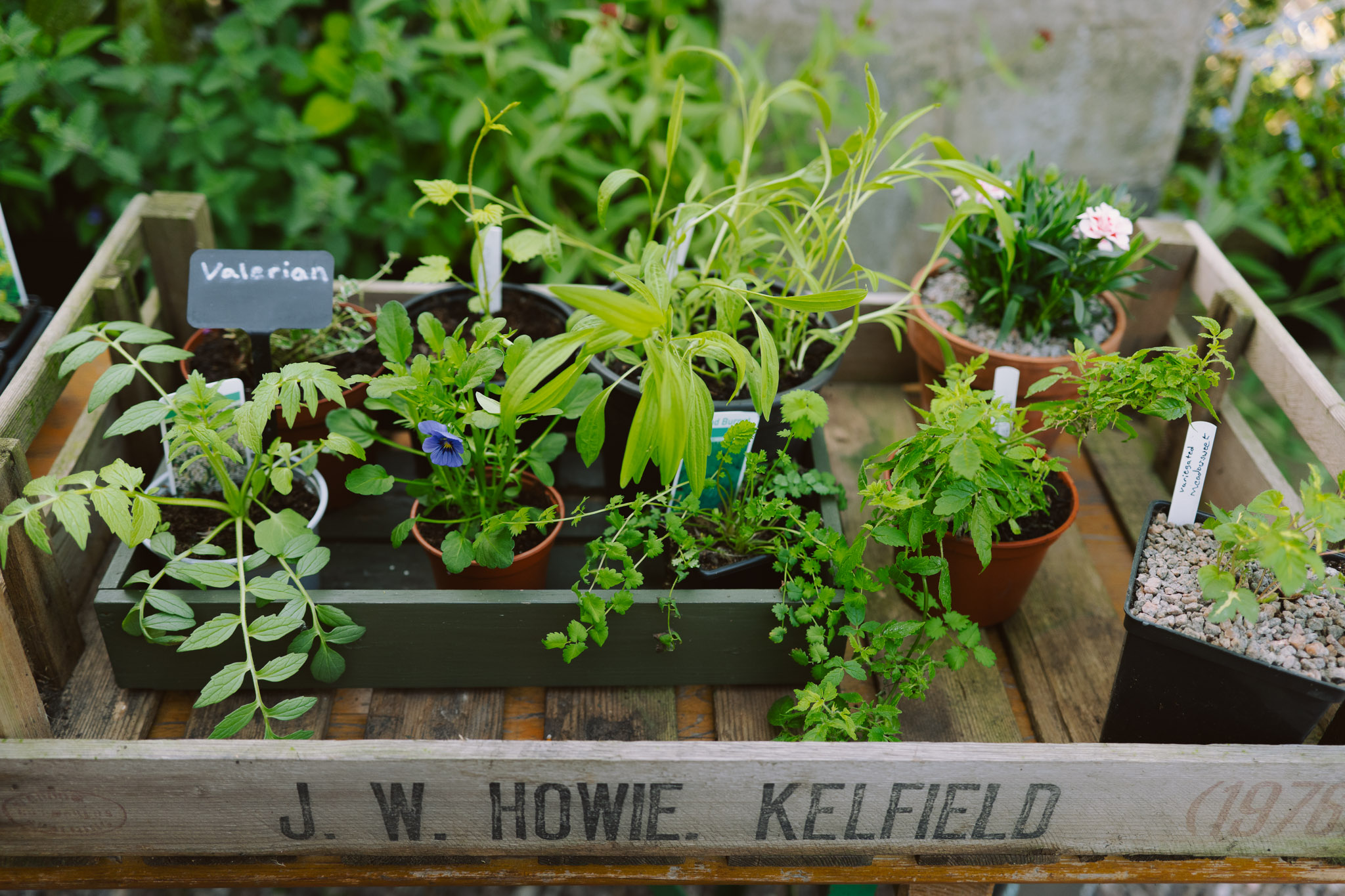 Blackbrook Herb Gardens