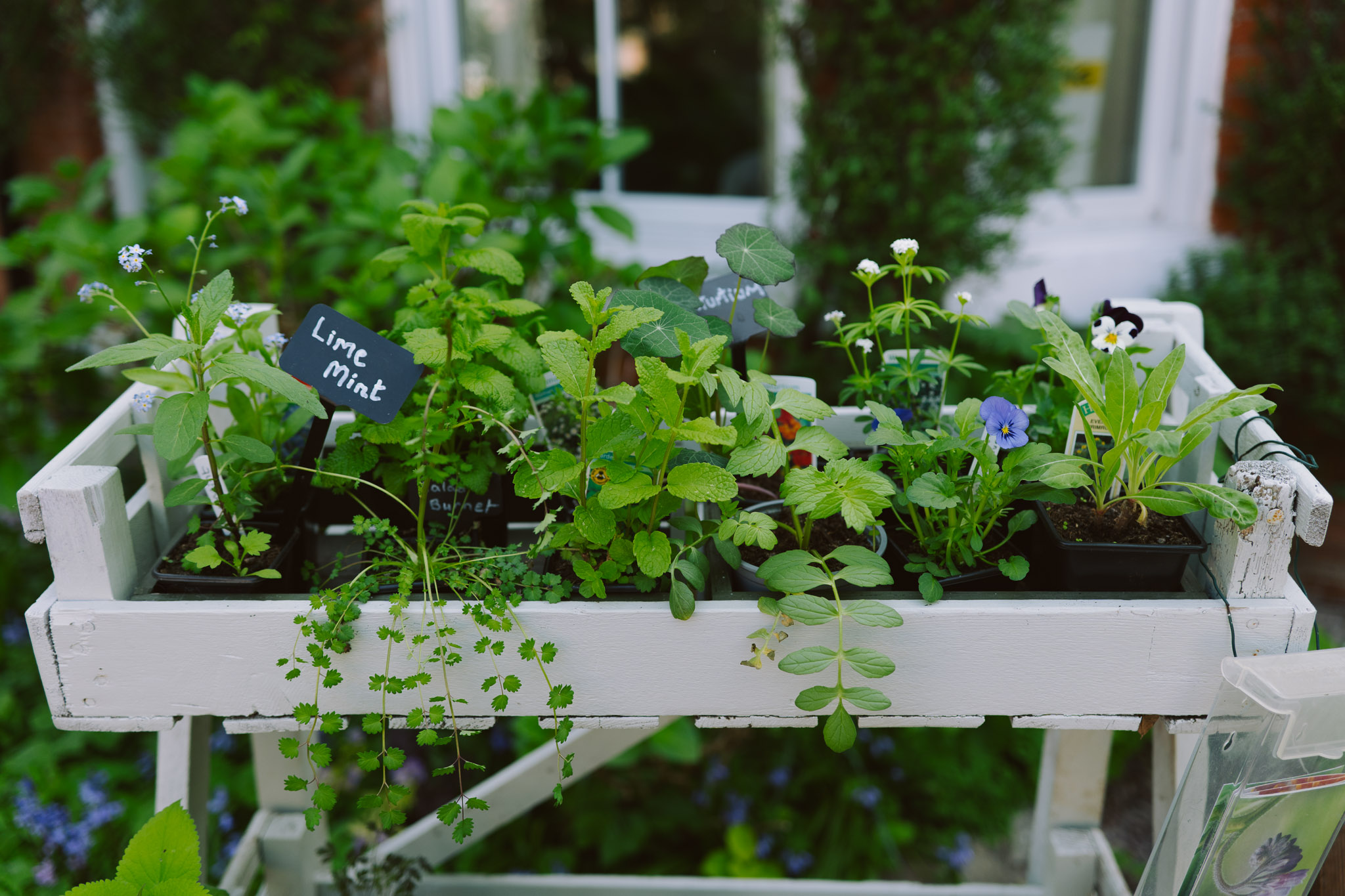 Blackbrook Herb Gardens