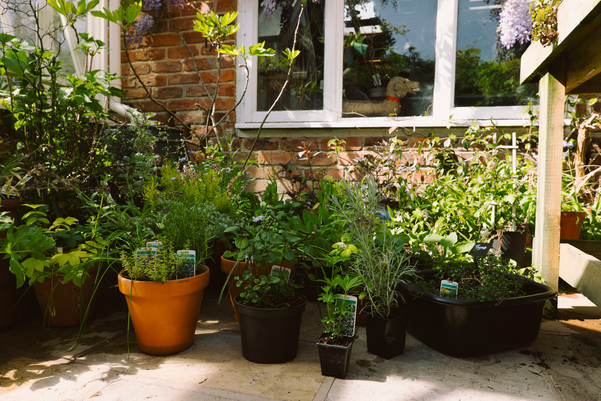 Pots, Planters & Containers