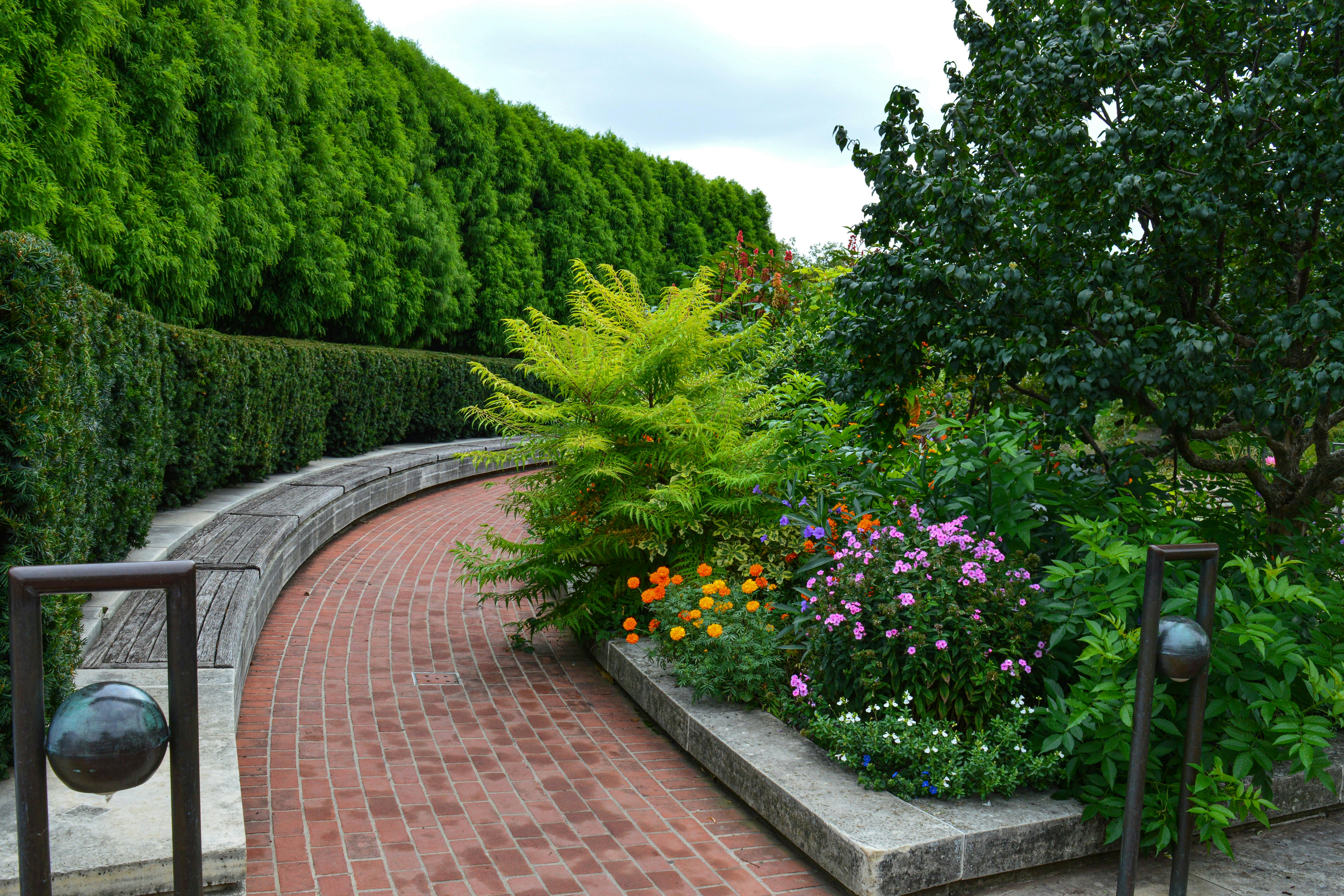 Garden Design & Landscaping
